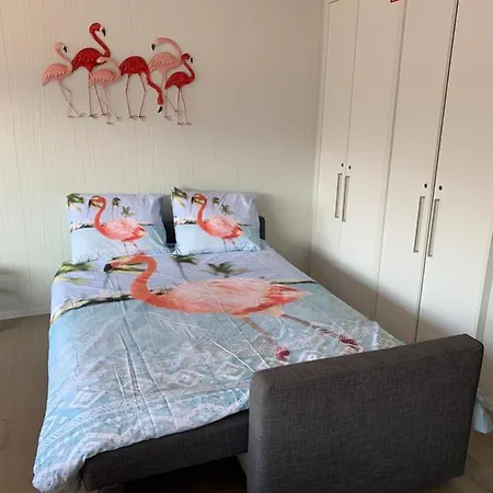 Casa Flamingo Daire
